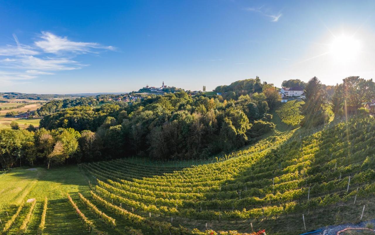 Bed and Breakfast Monschein Bioweinhof Straden Exterior foto